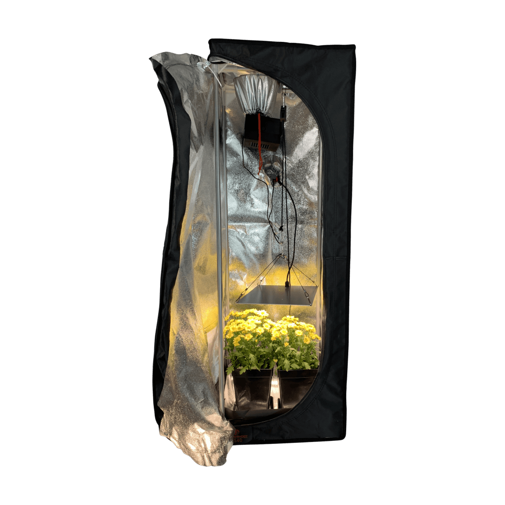 Das Grow Zelt von Bonsanto ist geöffnet. Innen befinden sich zwei Blumenkübel und eine eingeschaltete LED Lampe.