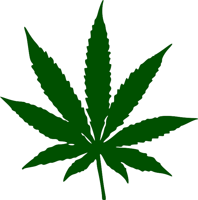 Legalisierung Hanf - Cannabis Anbau Deutschland