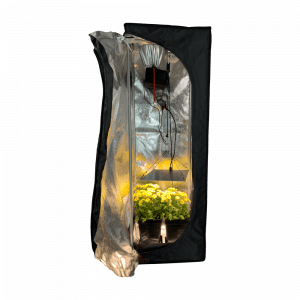 Das Grow Zelt von Bonsanto ist geöffnet. Innen befinden sich zwei Blumenkübel und eine eingeschaltete LED Lampe.
