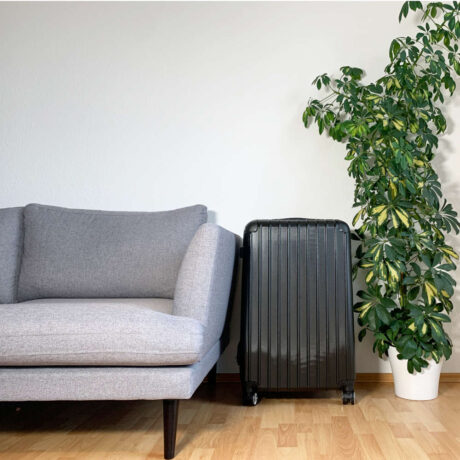Die Bonsanto Mini Grow Box sieht aus wie ein schwarzer Koffer und steht in einem Wohnzimmer zwischen einem Sofa und einer grünen Pflanze.