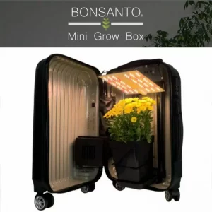 Buy small grow box