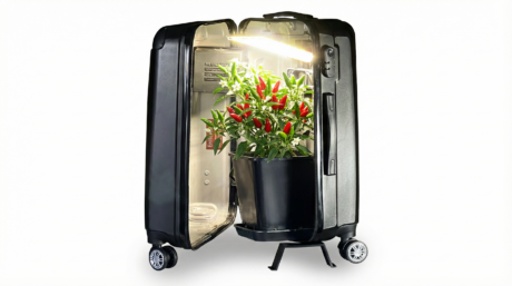 NEO V 3.0 – Mini Indoor-Garten Koffer XL (74cm)