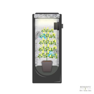 Belüftung mit Ventilatoren im Belüftung 40x40x120cm Mini-Grow-Zelt von Bonsanto