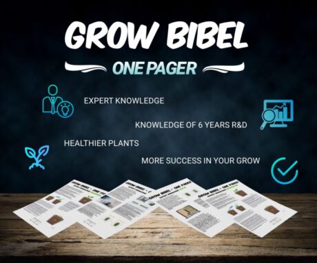 Grow Bibel Anleitung für Cannabis Anbau von Bonsanto