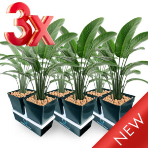 3er-Pack Hydrosystem