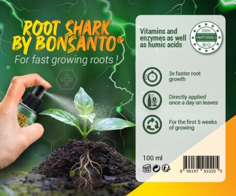 Information about Root Shark by Bonsanto