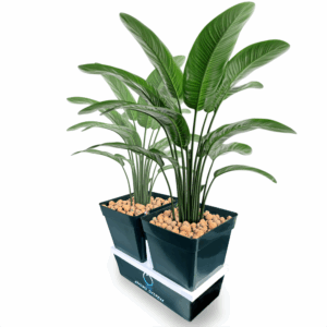 NutrientFlow® Hydrosystem v3.0 – Kompaktes Hydrosystem (10 Liter mit 2 Töpfen)