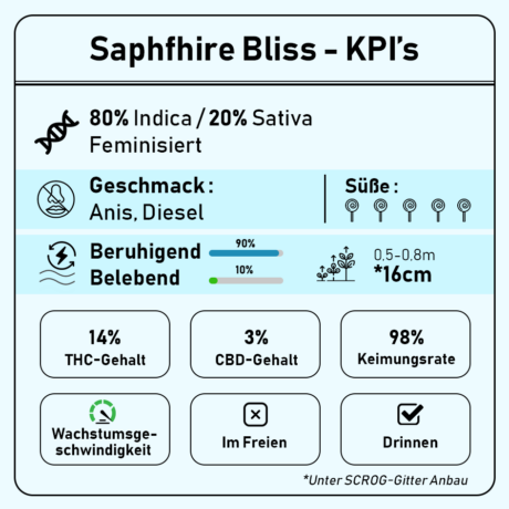 Infografik Saphfhire Bliss Brokkolisamen mit KPI's zum Thema THC, CBD und Wachstumsgeschwindigkeit
