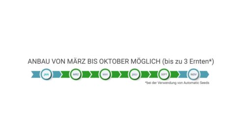 Infografik Garten Grow Box von Bonsanto, die die Anbauzeiten darstellt