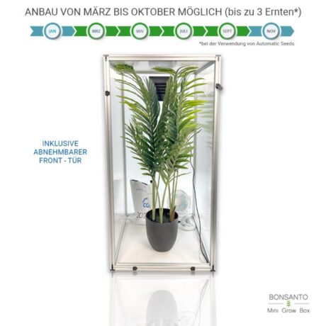 Grafik, die die Outdoor Growbox für den Garten von Bonsanto darstellt