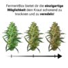 6L Zwarte Knoflook Fermenter Machine,90W Automatische Intelligente Fermenter Pot, Elektrische Zwarte Knoflook Ferment Box, Multifunctionele Fermenter Pot voor Zwarte Knoflook, Yoghurt, Natto, Zoete R
