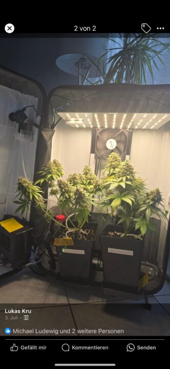 XL Koffer Grow 2