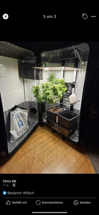 XL Koffer Hydro Grow 3