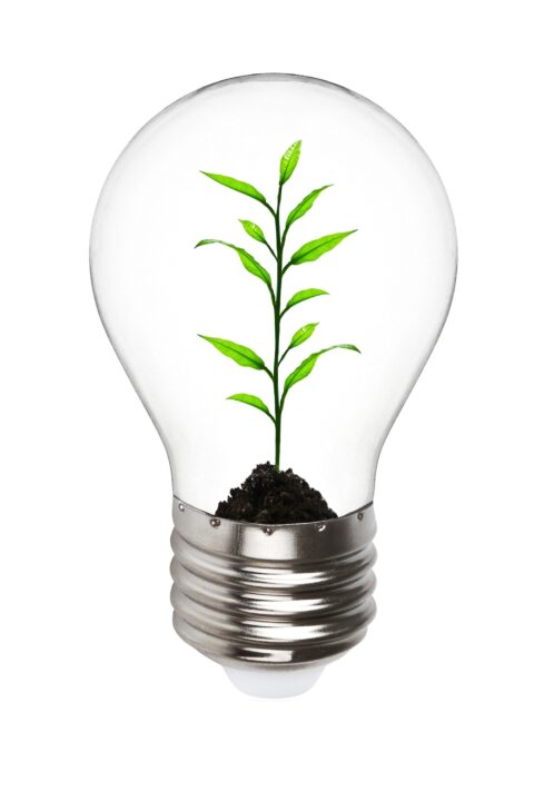 Grow Lampe