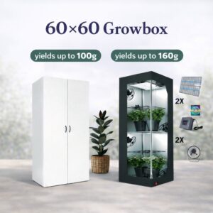 Comparison of different 60x60 indoor grow boxes