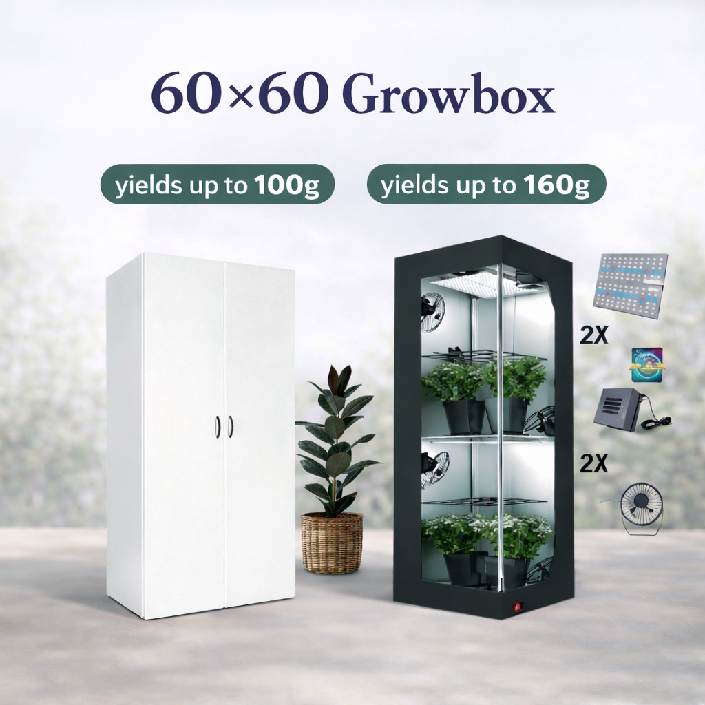 Comparison of different 60x60 indoor grow boxes