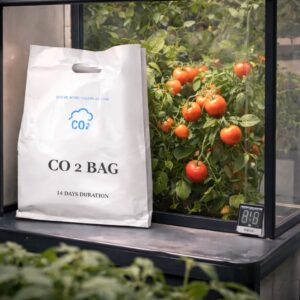 CO₂ grow bag placed next to tomato plants in a small indoor greenhouse