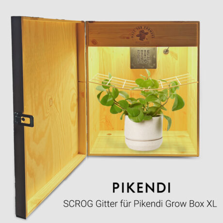 SCROG Gitter für Pikendi Box XL