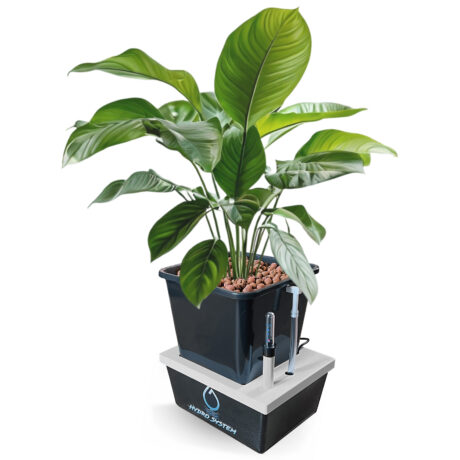 NutrientFlow® Hydrosystem v3.1 – Optimiertes Hydrosystem 5,7l