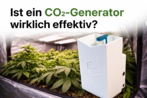 CO₂-Generator im Indoor Growzelt unter LED-Beleuchtung – lohnt sich CO₂ wirklich?