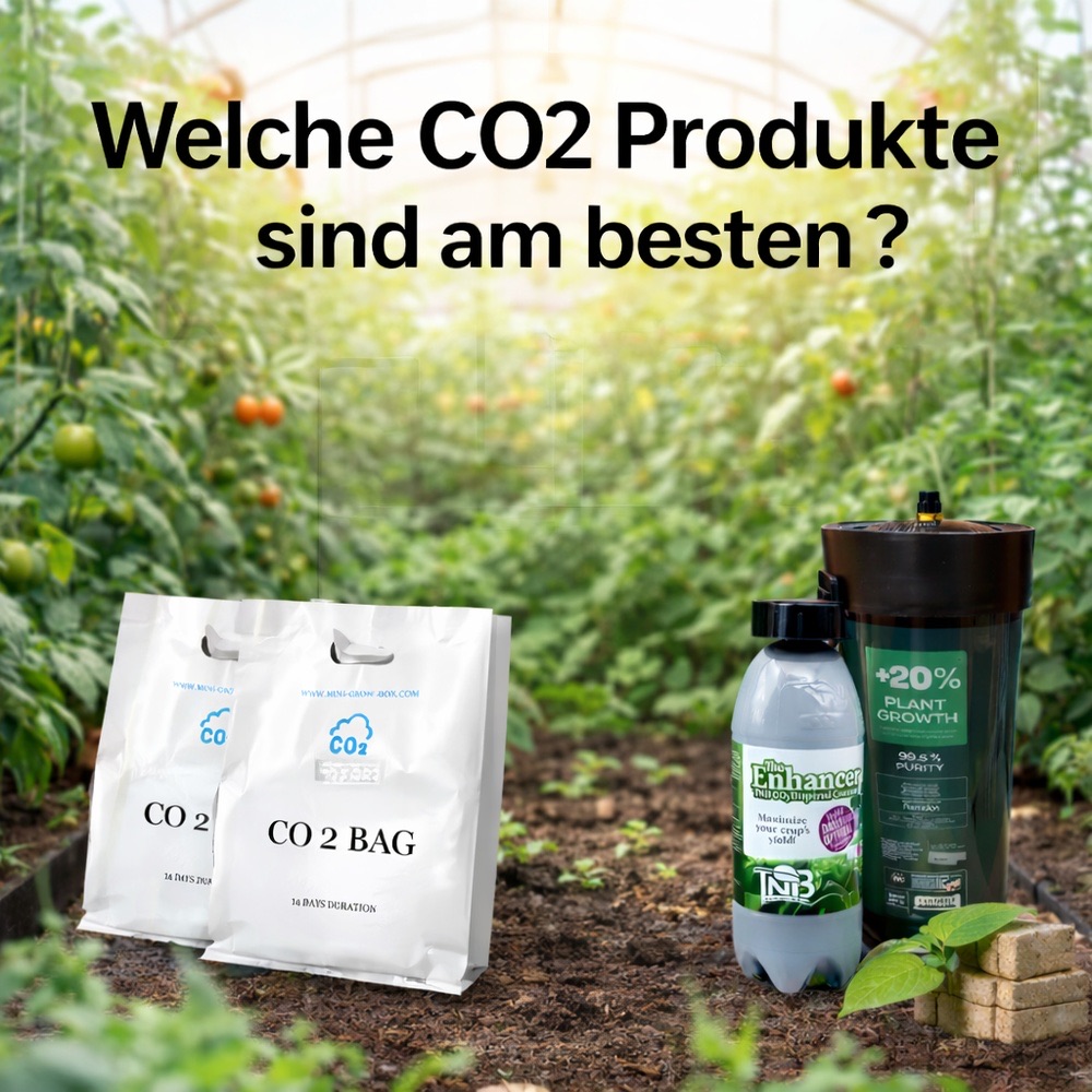 CO2-Produkte für Indoor Grow: CO2 Bags und CO2 Booster im Gewächshaus.