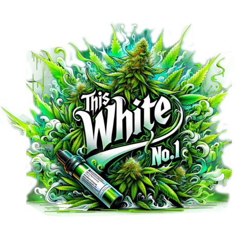 "Jamaika" Kräuter Samen - This White No.1 - Feminisiert