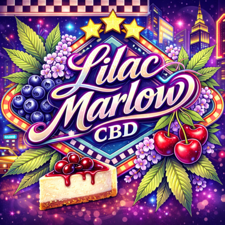"Jamaika" Kräuter Samen - Lilac Marlow CBD - Auto