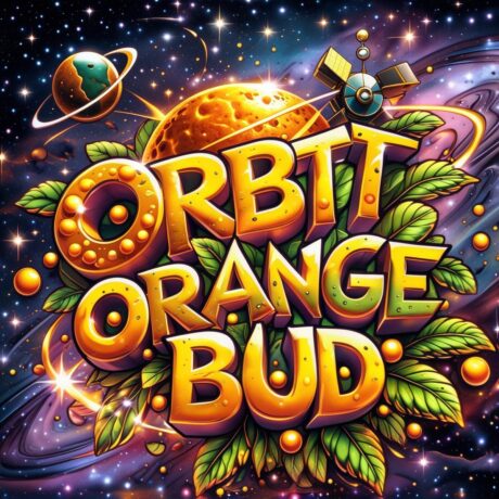 "Jamaika" Kräuter Samen - Orbit Orange Bud - Feminisiert
