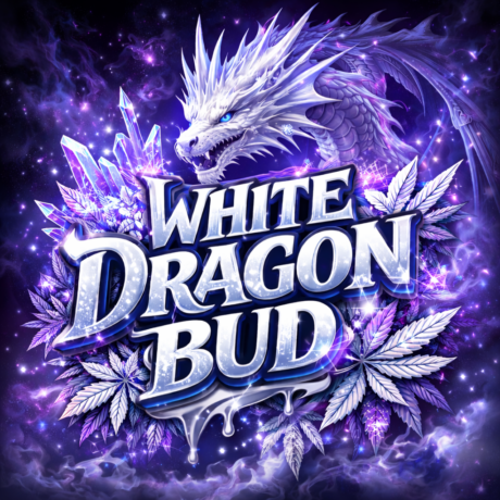 "Jamaika" Kräuter Samen - White Dragon Bud - Auto