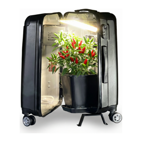 NEO V 3.0 – Mini Indoor-Garten Koffer XL (74cm)