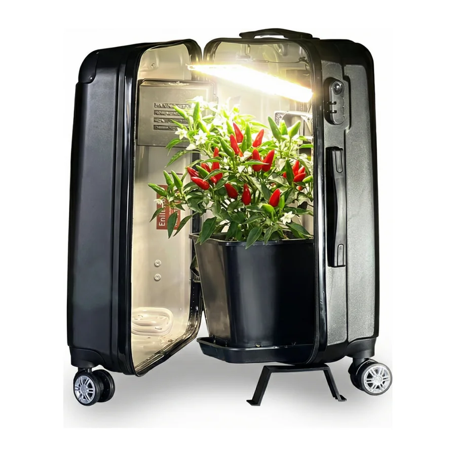 Open Bonsanto grow case with a chilli plant