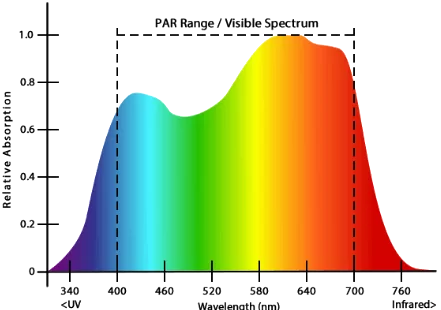 PAR range across the visible light spectrum