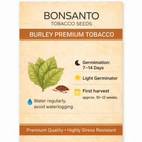 BONSANTO Tobacco Seeds – Burley Premium Tobacco