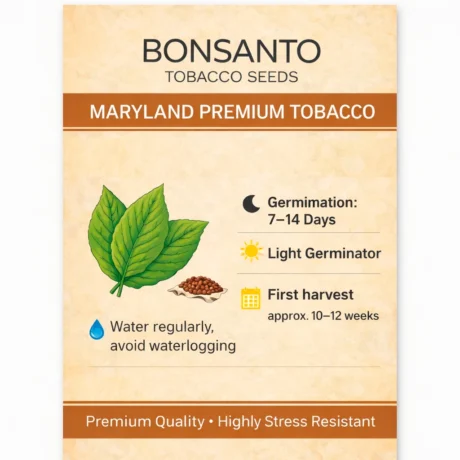 BONSANTO Tobacco Seeds – Maryland Premium Tobacco