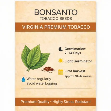 BONSANTO Tobacco Seeds – Virginia Premium Tobacco