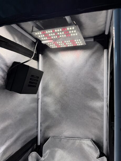 Innenansicht des Bonsanto Grow-Zelts mit LED und Filter