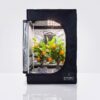 Bonsanto Grow-Zelt 40x40x70 cm geöffnet mit Pflanzen, LED und Aktivkohlefilter