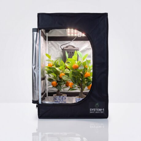 Bonsanto Grow-Zelt 40x40x70 cm geöffnet mit Pflanzen, LED und Aktivkohlefilter