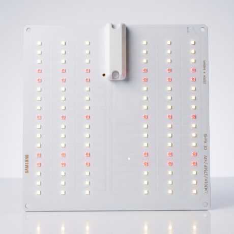 Bonsanto 35 Watt LED im eingeschalteten Zustand