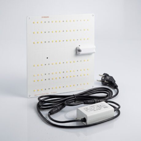 Bonsanto 35 Watt LED mit Anschlusskabel