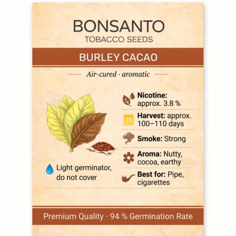 Bonsanto Tabaksamen Burley Cacao – Steckbrief mit Nikotin, Erntezeit, Rauch, Aroma und Verwendung