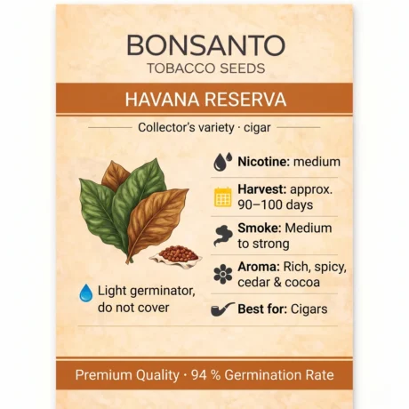Bonsanto Tabaksamen Havana Reserva – Steckbrief mit Nikotin, Erntezeit, Rauch, Aroma und Verwendung