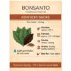 Bonsanto Tabaksamen Kentucky Smoke – Steckbrief mit Nikotin, Erntezeit, Rauch, Aroma und Verwendung