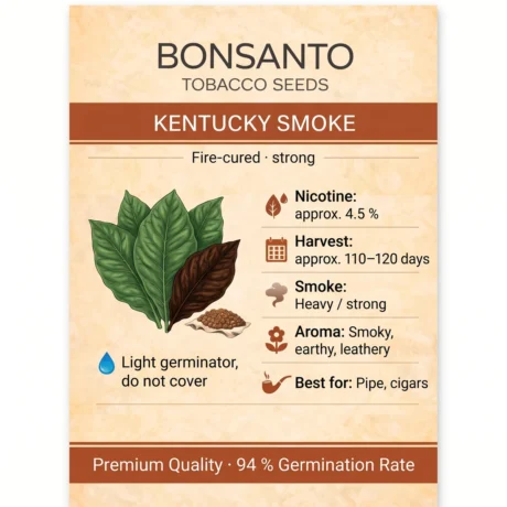 Bonsanto Tabaksamen Kentucky Smoke – Steckbrief mit Nikotin, Erntezeit, Rauch, Aroma und Verwendung