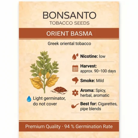 Bonsanto Tabaksamen Orient Basma – Steckbrief mit Nikotin, Erntezeit, Rauch, Aroma und Verwendung