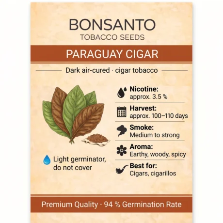 Bonsanto Tabaksamen Paraguay Cigar – Steckbrief mit Nikotin, Erntezeit, Rauch, Aroma und Verwendung
