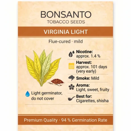 Bonsanto Tabaksamen Virginia Light – Steckbrief mit Nikotin, Erntezeit, Rauch, Aroma und Verwendung