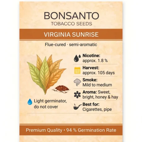 Bonsanto Tabaksamen Virginia Sunrise – Steckbrief mit Nikotin, Erntezeit, Rauch, Aroma und Verwendung
